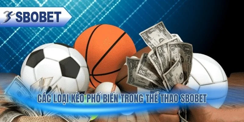 Phân tích các dạng kèo phổ biến giúp người chơi dễ lựa chọn