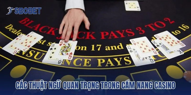 Các thuật ngữ quan trọng trong cẩm nang casino