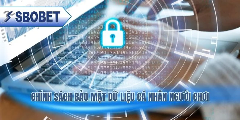 Cách thu thập và sử dụng dữ liệu được công khai