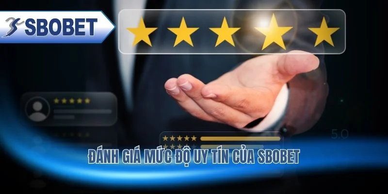 SBOBET có lừa đảo không qua góc nhìn người chơi thực tế