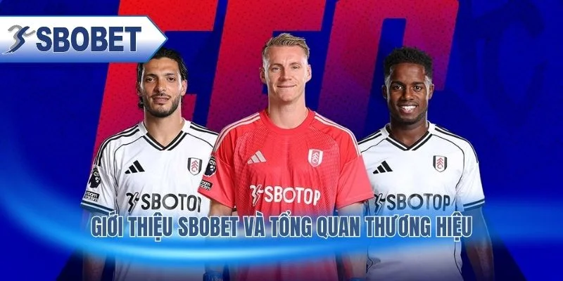 Nhà cái quốc tế uy tín với lịch sử hoạt động lâu năm