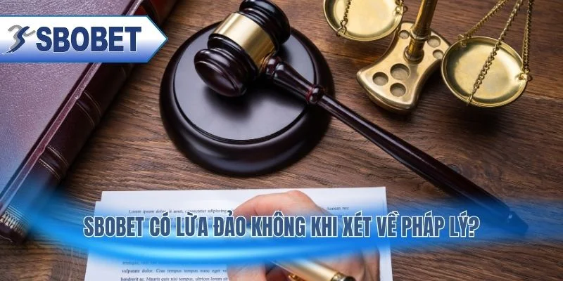 Giấy phép và cơ chế giám sát đảm bảo hoạt động hợp pháp