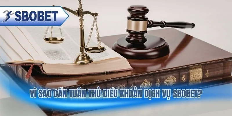 Lợi ích khi tuân thủ quy định giúp chơi an toàn minh bạch
