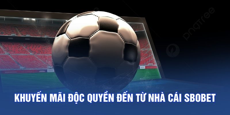Khuyến mãi độc quyền đến từ nhà cái SBOBET